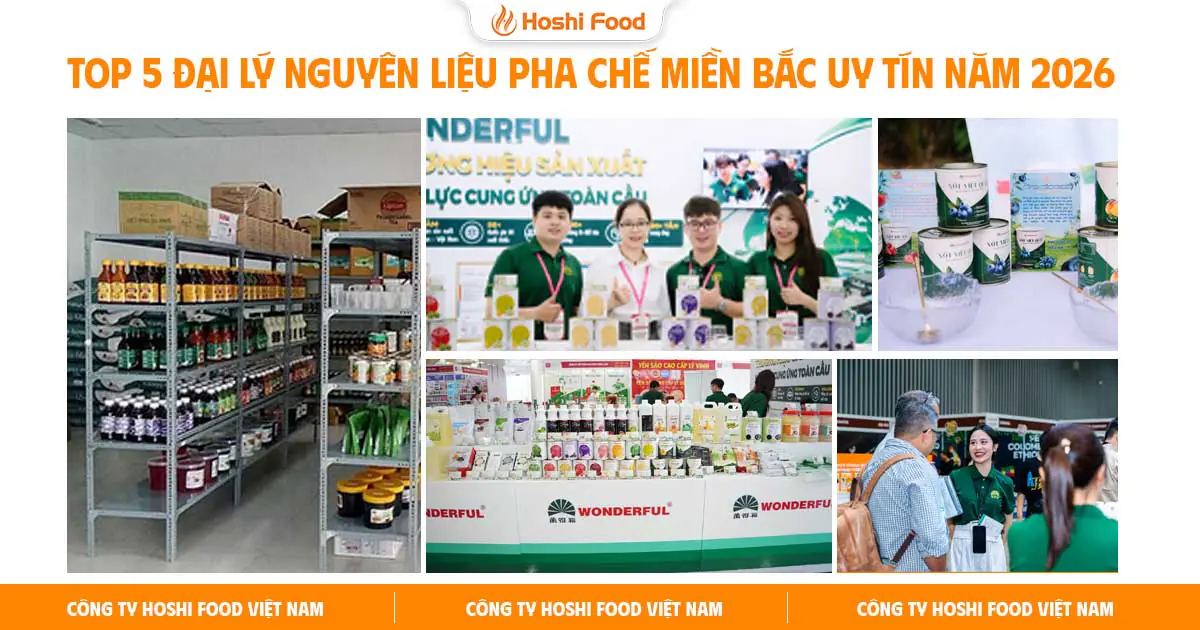 NGUYEN-LIEUPHA-CHE-MIEN-BAC